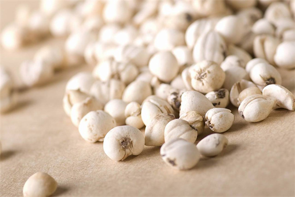 綠生藥業 專注天然養身，科技賦能保健食品新未來